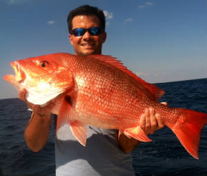 red_snapper_fisheye_sportfishing.JPG.w300h255